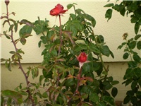 7c84a49e-Picture 3519.jpg